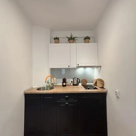 Tiny Quinet Bucureşti
